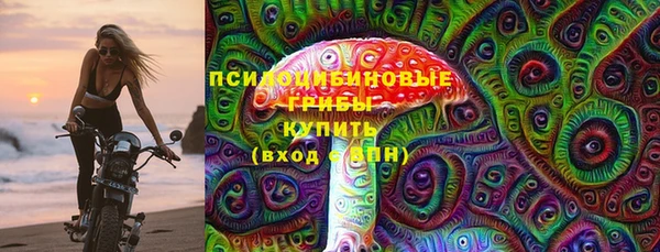 стафф Беломорск