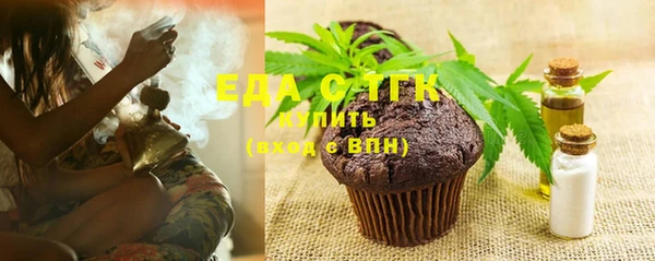индика Пестово